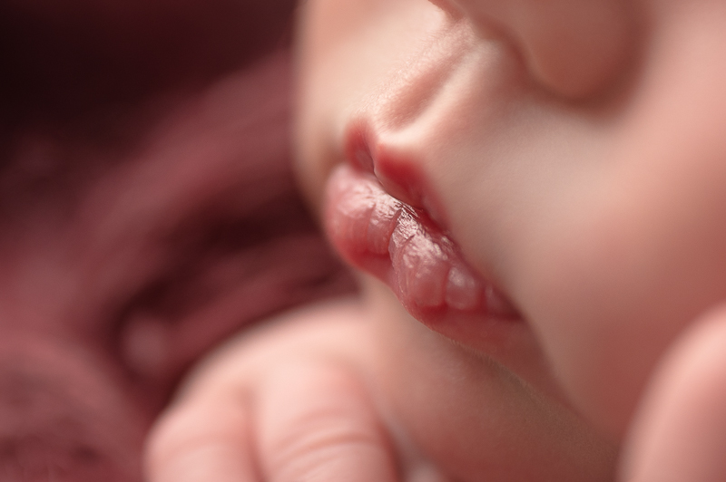 séance photo de naissance les clouzeaux