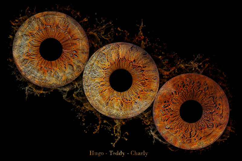 Séance photo d'iris à la roche sur yon