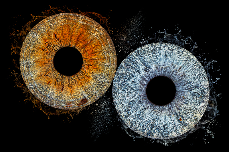 photo d'iris effet galaxy