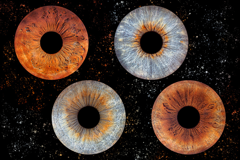 photo d'iris famille de 4 personnes.