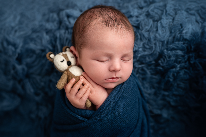Bébé endormi serrant un petit renard en feutrine, séance photo nouveau-né près de La Roche-sur-Yon