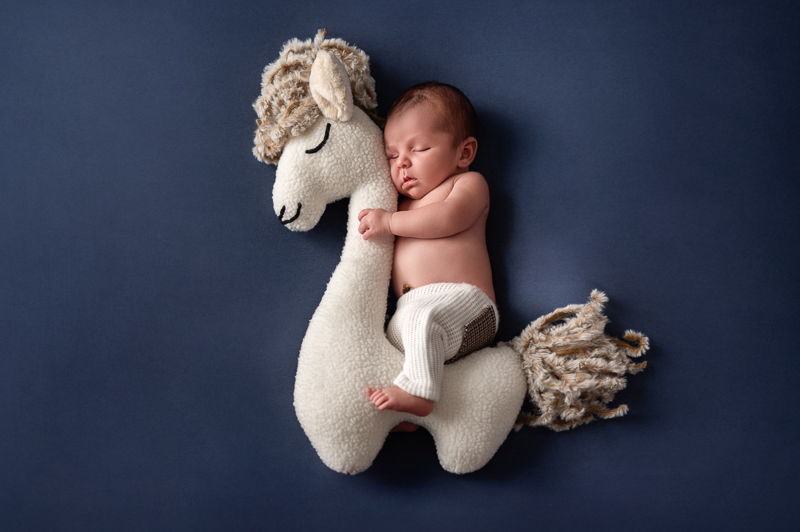 Nouveau-né endormi contre une peluche lama sur fond bleu marine, séance photo bébé en Vendée